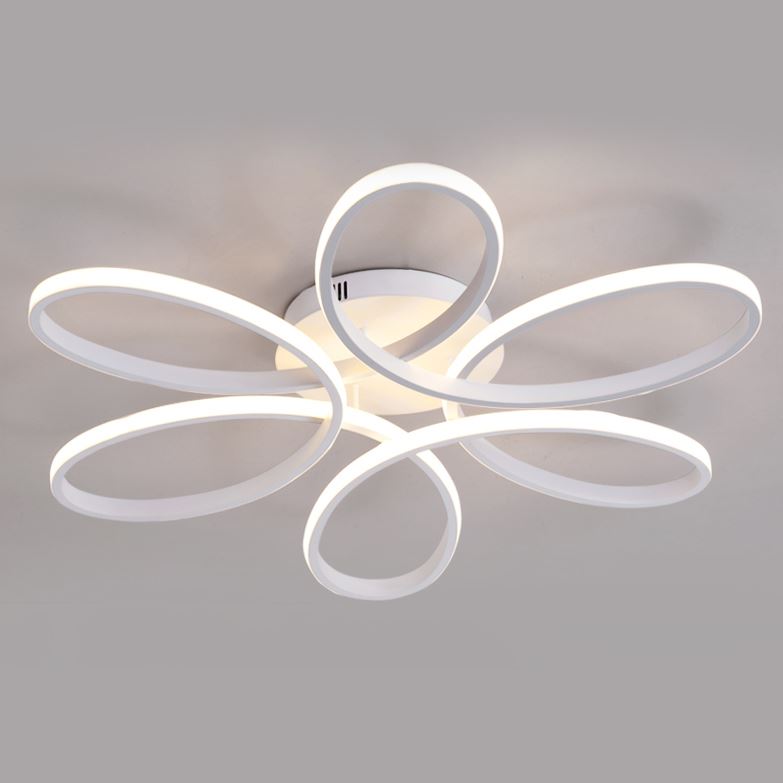 Ceiling light main view